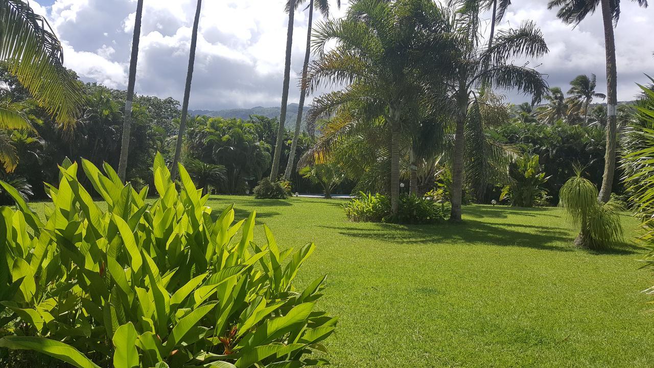Villa Manaora Taravao Экстерьер фото